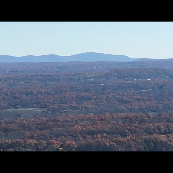 Meet your Posher, Rumpa - Picture 1 of 1